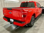 2022 F-150 Thumbnail 22