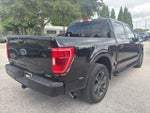 2023 F-150 Thumbnail 5