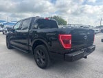 2023 F-150 Thumbnail 7