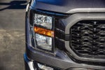 2023 F-150 Thumbnail 10