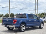 2023 F-150 Thumbnail 4