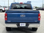 2023 F-150 Thumbnail 5
