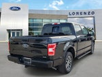 2019 F-150 Thumbnail 4
