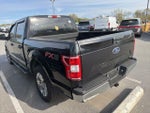 2019 F-150 Thumbnail 4