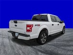 2019 F-150 Thumbnail 4