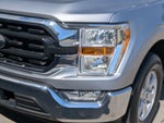 2021 F-150 Thumbnail 10