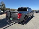 2021 F-150 Thumbnail 7