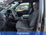 2021 F-150 Thumbnail 12