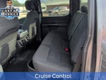 2021 F-150 Thumbnail 13