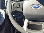 2021 F-150 Thumbnail 14