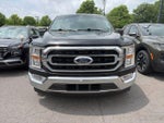 2021 F-150 Thumbnail 2