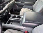 2021 F-150 Thumbnail 14