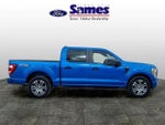 2021 F-150 Thumbnail 2