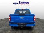 2021 F-150 Thumbnail 4