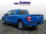 2021 F-150 Thumbnail 5