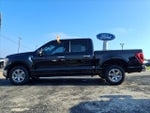 2022 F-150 Thumbnail 4