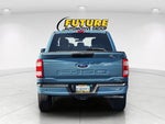 2023 F-150 Thumbnail 8