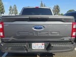 2023 F-150 Thumbnail 4