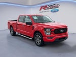 2023 F-150 Thumbnail 6
