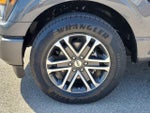 2023 F-150 Thumbnail 8