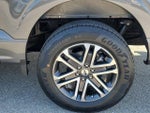 2023 F-150 Thumbnail 10