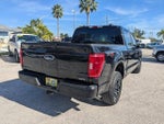 2023 F-150 Thumbnail 4