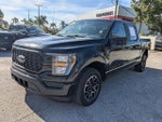 2023 F-150 Thumbnail 8
