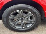 2023 F-150 Thumbnail 4