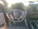 2019 F-150 Thumbnail 18