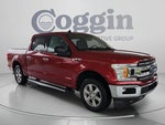 2019 F-150 Thumbnail 7