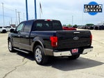 2019 F-150 Thumbnail 8