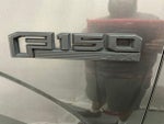2019 F-150 Thumbnail 8