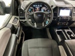 2019 F-150 Thumbnail 12