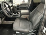 2019 F-150 Thumbnail 14
