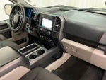 2019 F-150 Thumbnail 19