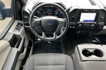 2020 F-150 Thumbnail 15