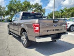 2020 F-150 Thumbnail 7