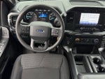 2021 F-150 Thumbnail 13