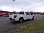 2021 F-150 Thumbnail 5