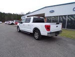 2021 F-150 Thumbnail 8