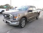 2021 F-150 Thumbnail 5