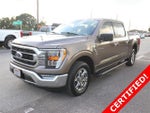 2021 F-150 Thumbnail 5