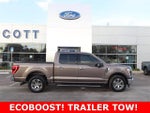 2021 F-150 Thumbnail 14