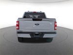 2023 F-150 Thumbnail 5