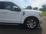 2023 F-150 Thumbnail 5