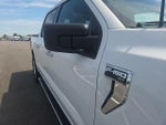 2023 F-150 Thumbnail 6