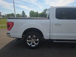 2023 F-150 Thumbnail 8