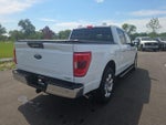 2023 F-150 Thumbnail 9