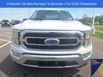 2023 F-150 Thumbnail 4