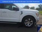 2023 F-150 Thumbnail 6